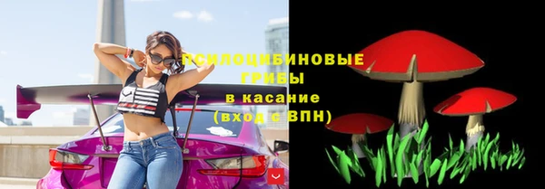 сатива Абаза