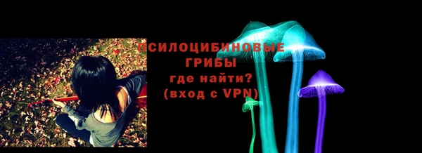 сатива Абаза