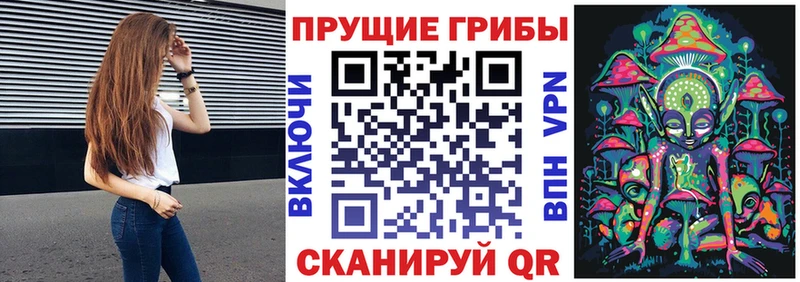 магазин  наркотиков  Таштагол  Галлюциногенные грибы Psilocybine cubensis 